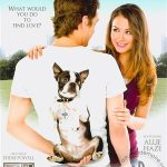 Lost And Found (2011) New Sensations